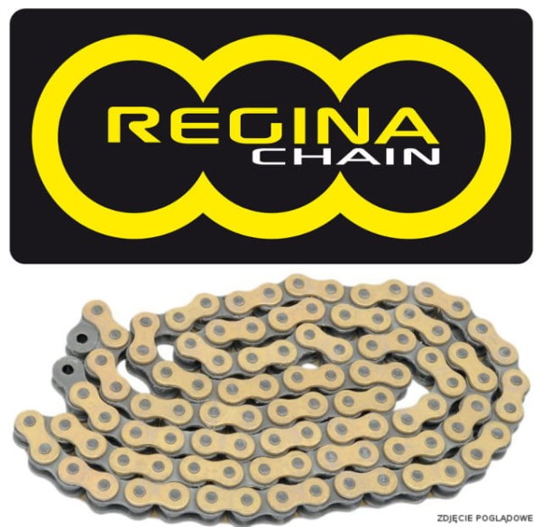 regina-2025-06-lancuch-428-chain-126rh2-134-links.jpg